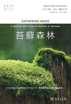 苔藓森林 封面