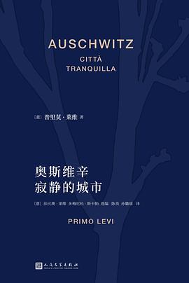 奥斯维辛：寂静的城市 封面