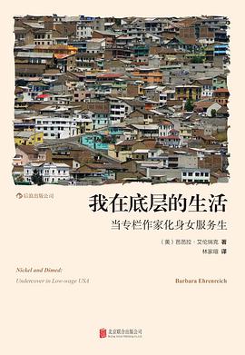 我在底层的生活 封面