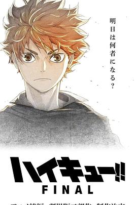 Haikyu!! The Dumpster Battle 封面