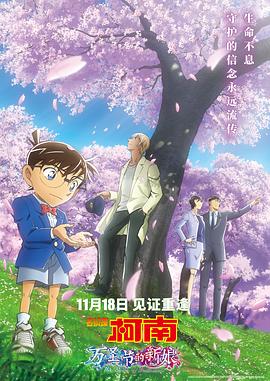 Detective Conan: The Bride of Halloween 封面
