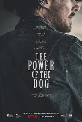 The Power of the Dog 封面