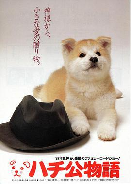 Hachi-ko 封面