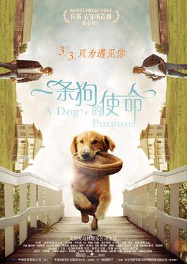 A Dog's Purpose 封面