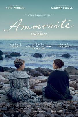Ammonite 封面