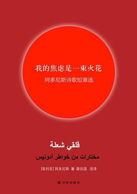 我的焦虑是一束火花 封面
