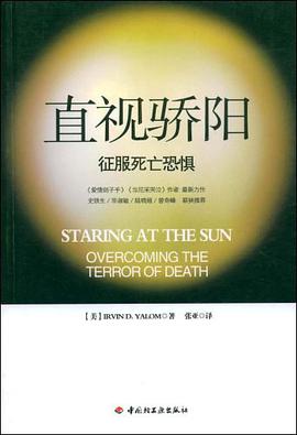 直视骄阳 封面