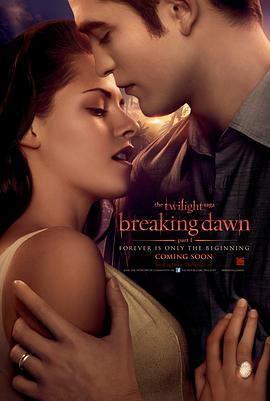 The Twilight Saga: Breaking Dawn - Part 1 封面