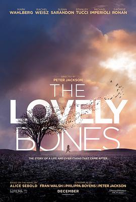 The Lovely Bones 封面